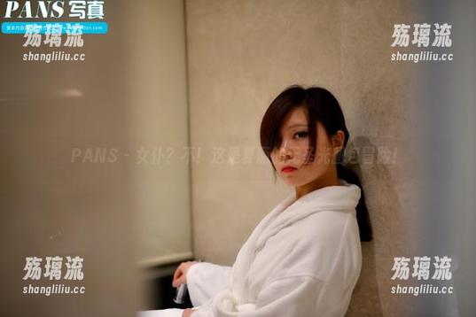 PANS - 女仆？不！这是夏涵的无圣光图包冒险！