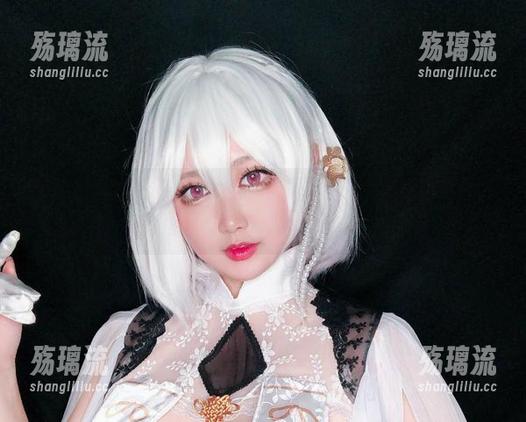 如果椒妮佐仁的定制连衣裙是我的，你说我还需要什么图集？