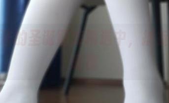 在西尔酱的圣诞图库精选中，捕捉冬日的暖意