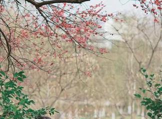 微密圈 – 这种棉袜搭配辣妈女神的姿态，令人咋舌——是时候下载她的写真集了